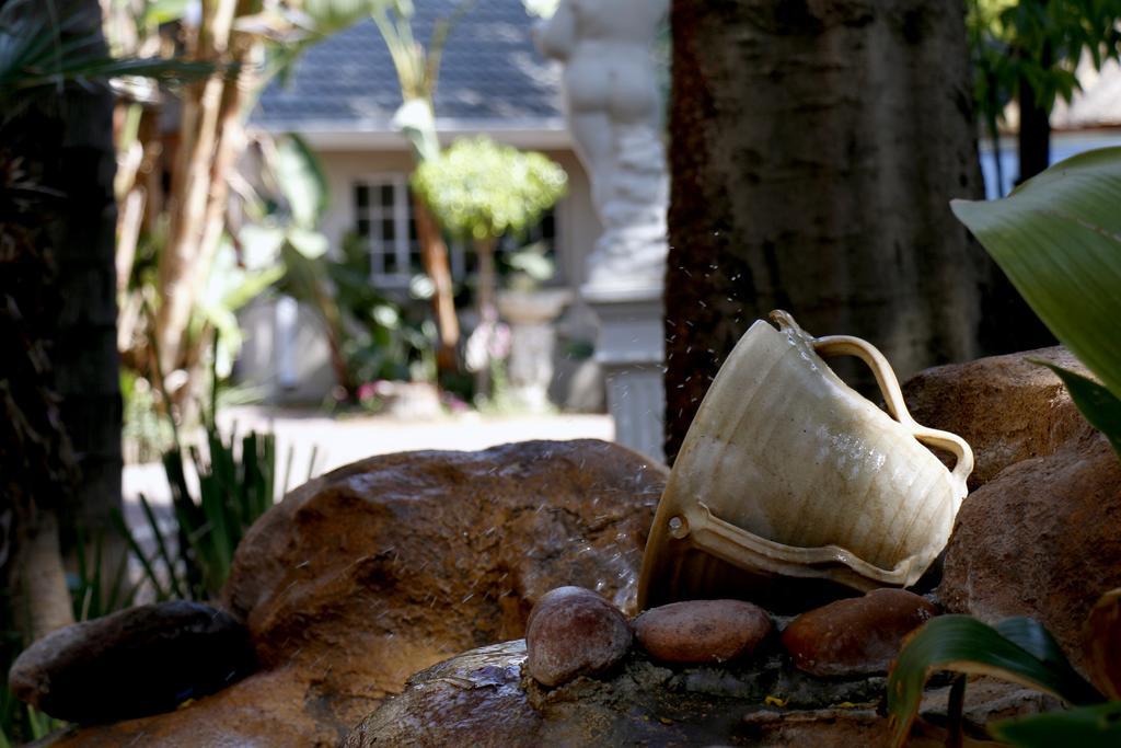 ซัมเมอร์วิว เกสต์ลอดจ์ Bed & Breakfast โจฮันเนสเบิร์ก ภายนอก รูปภาพ